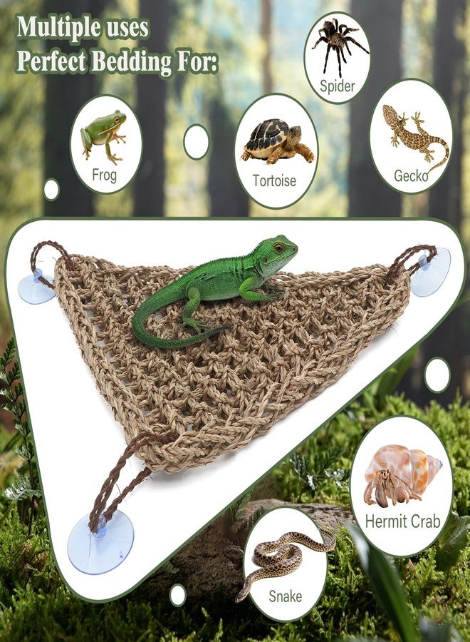 AQUA KT Reptile Lounger Lizard Bearded Dragon Snake Climbing Hammock for Reptile Bedding Amphibian Habitat Decoration, Made of Seagrass - Image 2